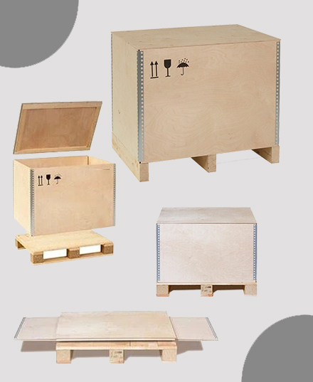 Packaging Solution Company